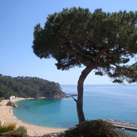 Appartement Parfait Studio Lloret de Mar